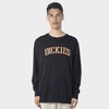 Dickies Collegiate Tri-Colour Crew Neck Sweater