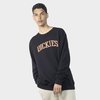 Dickies Collegiate Tri-Colour Crew Neck Sweater