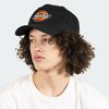 Dickies Classic Logo Snapback