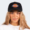 Dickies Classic Logo Snapback