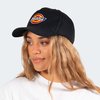 Dickies Classic Logo Snapback