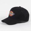 Dickies Classic Logo Snapback