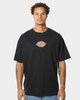 Dickies Classic Distressed  Logo T-shirt