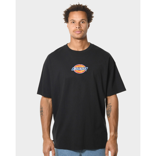 Dickies Classic Distressed  Logo T-shirt