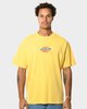 Dickies Classic Distressed  Logo T-shirt