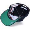 Team Script Classic Snapback 