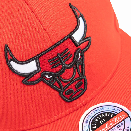 Team Ground Stretch Snapback 