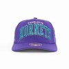 Team Colour Stretch Snapback