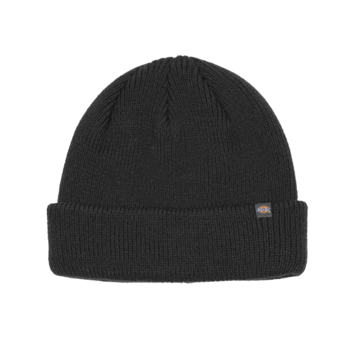 Dickies Seattle Beanie