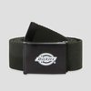Dickies Orcutt Belt