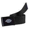 Dickies Orcutt Belt
