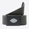 Dickies Orcutt Belt