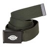 Dickies Orcutt Belt