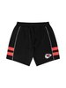 Majestcis NFL Mesh Short