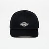 Dickies Essential Dad Hats