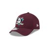 New Era 940 AF Ducks SB