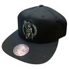 Team Logo Deadstock Snapback  