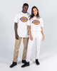 Dickies H.S COLOUR Classic Fit T-shirts