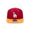 2 Tone Snapback
