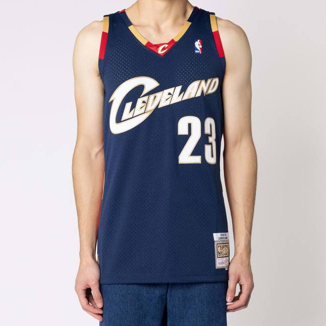 swingman jersey mitchell and ness