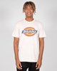 Dickies H.S COLOUR Classic Fit T-shirts