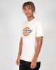 Dickies H.S COLOUR Classic Fit T-shirts
