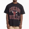 Mitchell and Ness VINTAGE HWC IVY ARCH COLOUR TEE