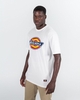 H.S Colour Classic Fit T-shirt (super size)